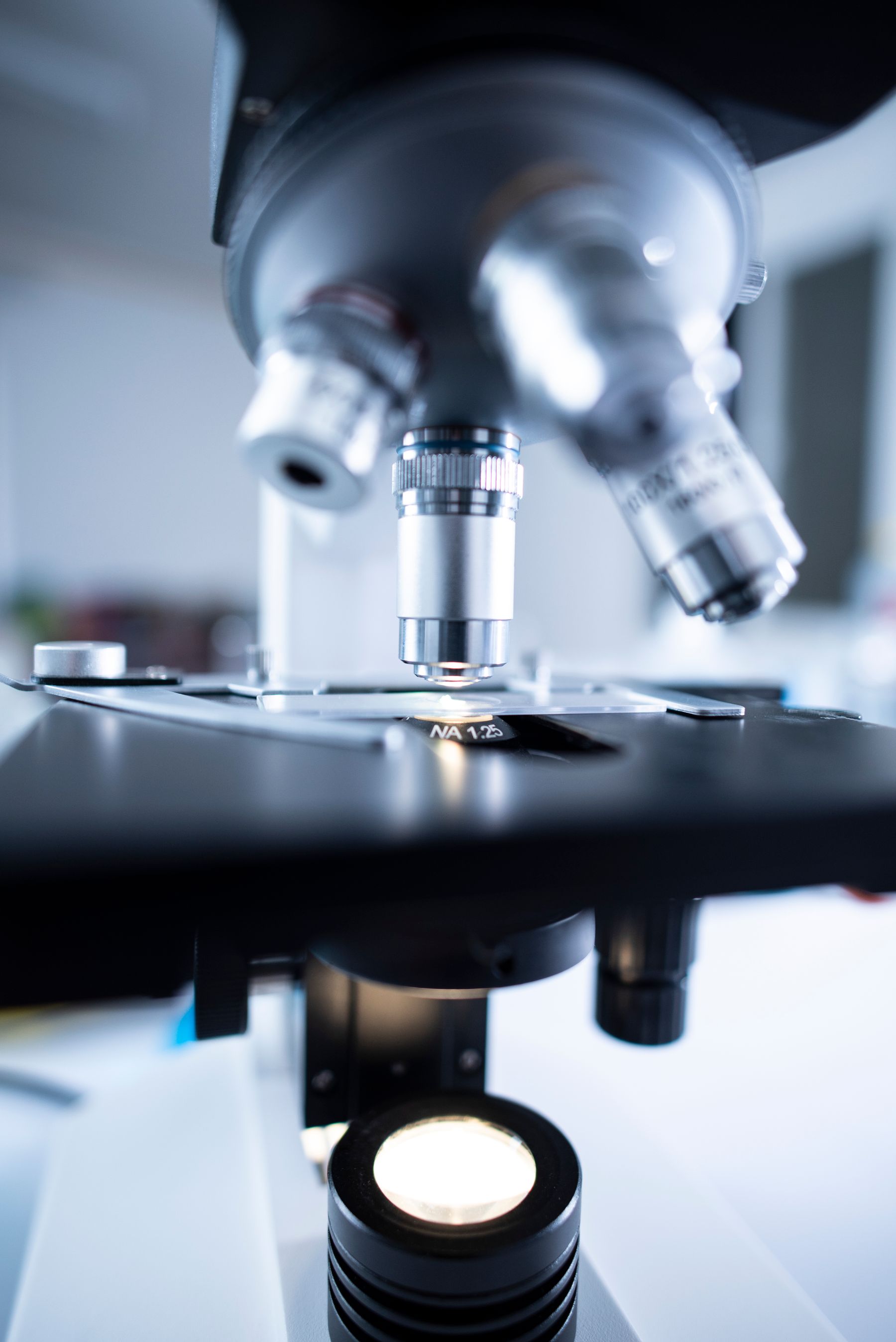 A laboratory bench